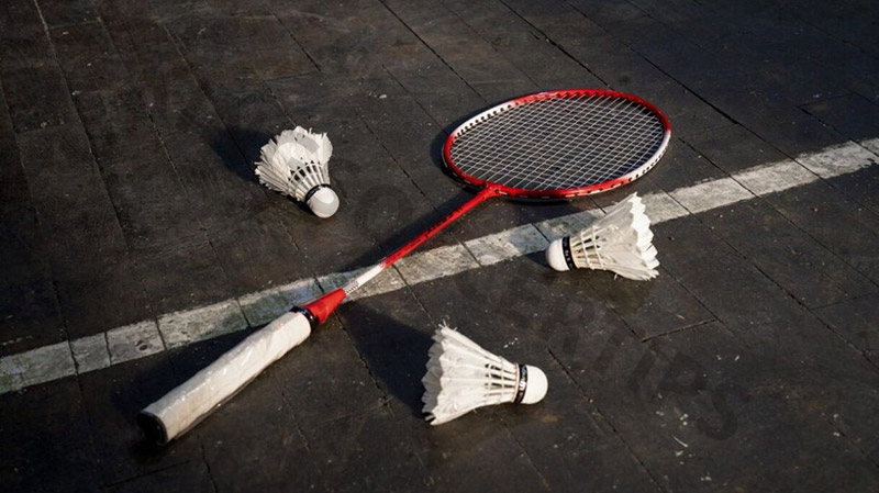 Maximize Your Winnings with Moneyline Betting on Badminton Matches at MayaPlay