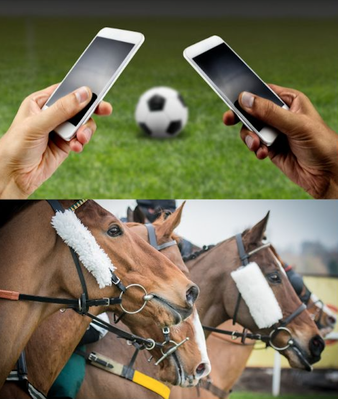 Kick Off Your Betting Game: The Surprising Similarities Between Soccer and Horse Race Betting on MayaPlay!