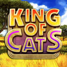 Explore the Wild with King of Cats – Now on MayaPlay